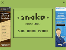 Tablet Screenshot of playsnake.org